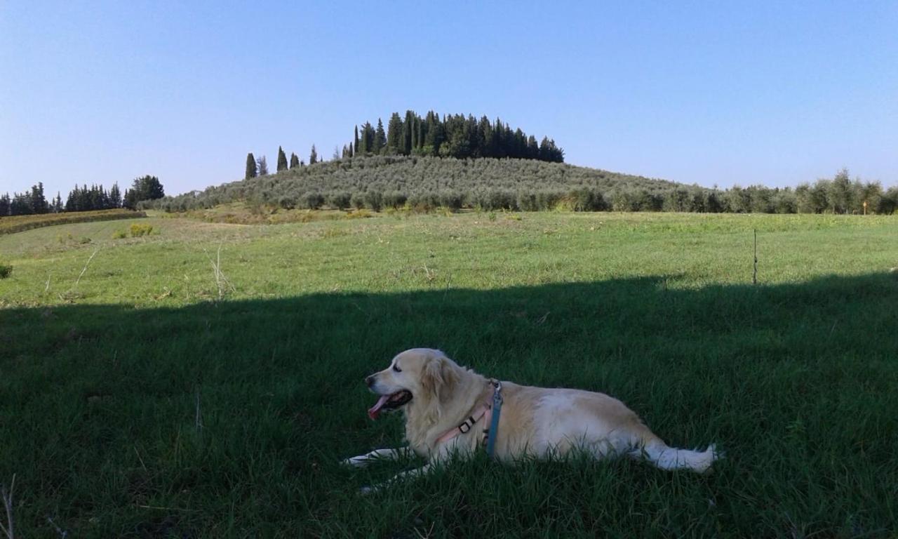 Dolce Cuore Luxe Apartment Chianti Florence Male Romantyczne Mieszkanie San Donato in Poggio Exterior foto